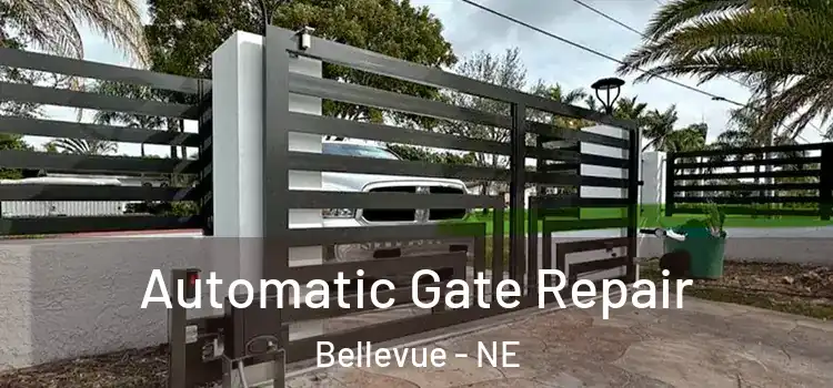 Automatic Gate Repair Bellevue - NE