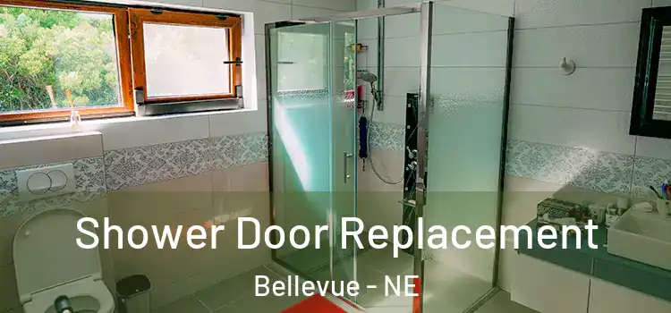 Shower Door Replacement Bellevue - NE